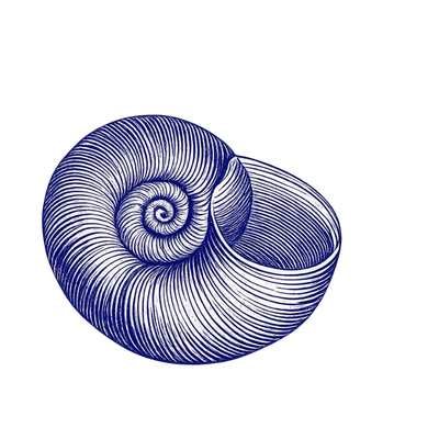 Shoreside Terrace Cafe signature menu dish